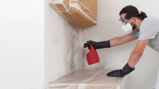 Professional Mold Removal technician working in Owings, MD
